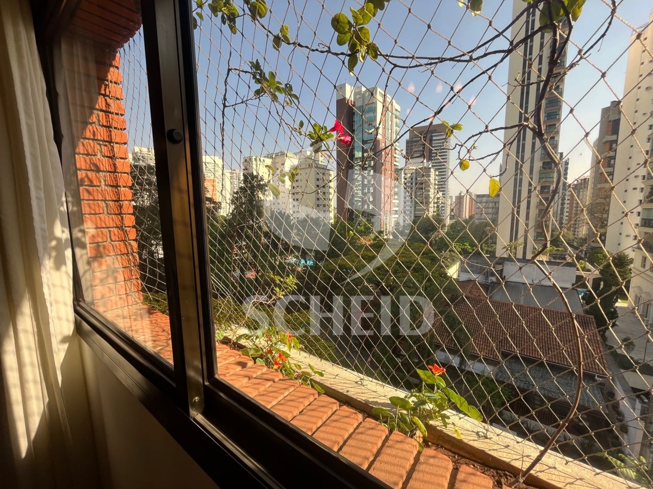 Foto 14