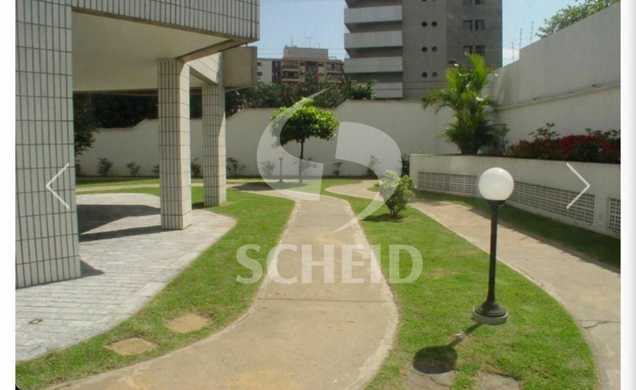 Foto 41