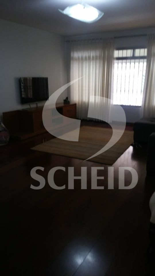 Foto 20