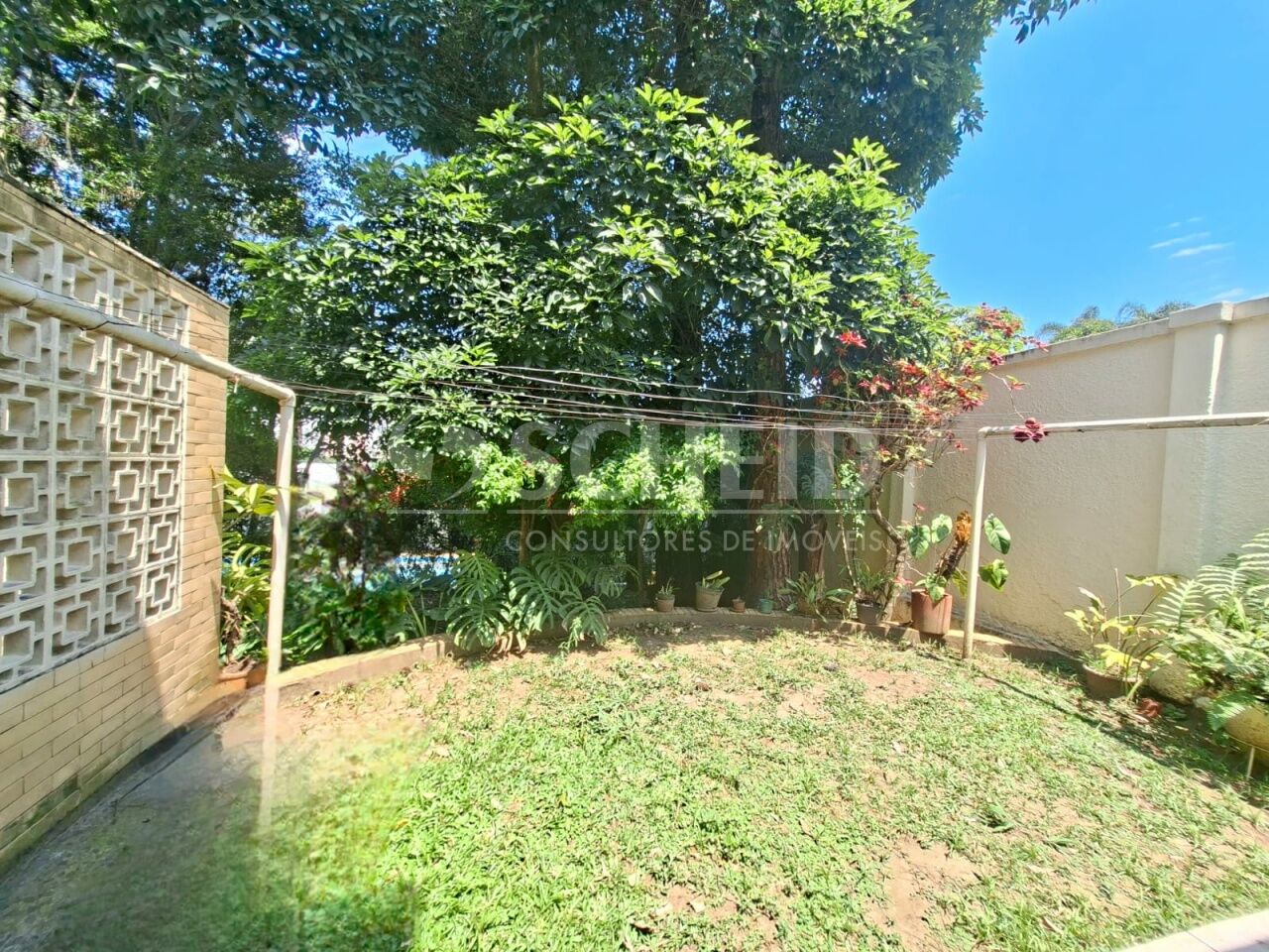 Foto 41