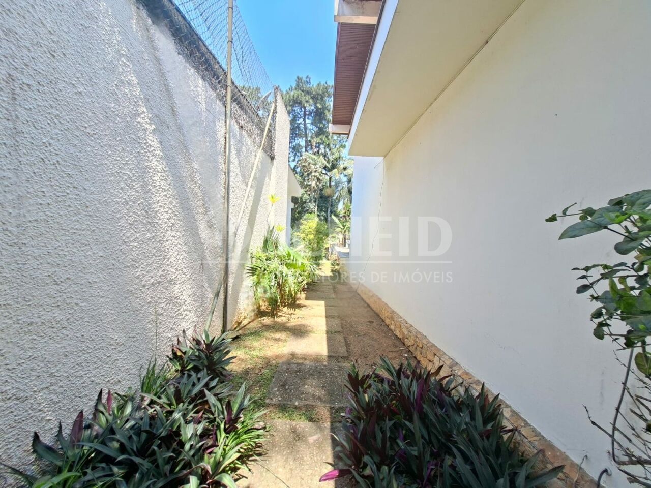 Foto 44