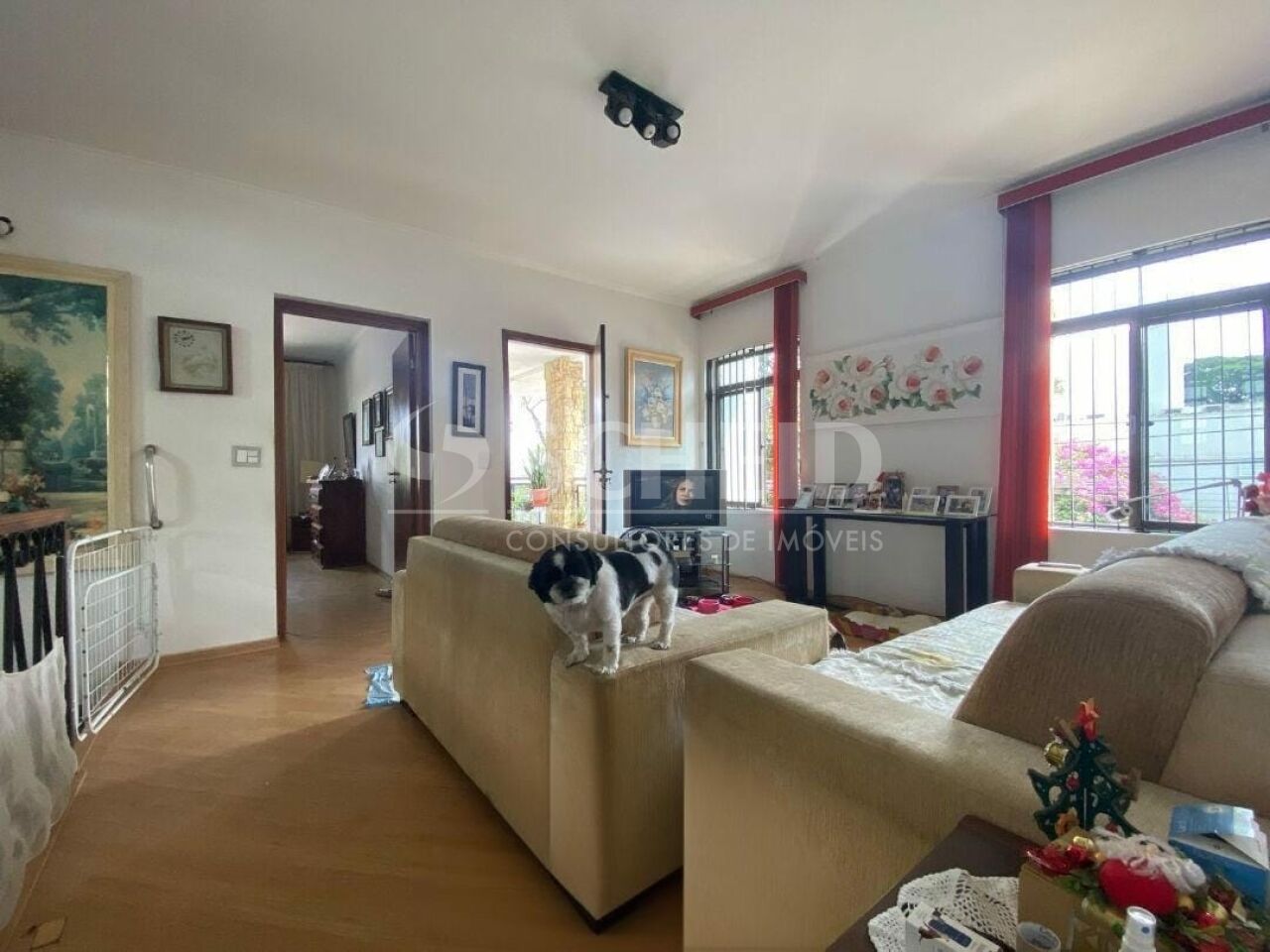 Foto 6