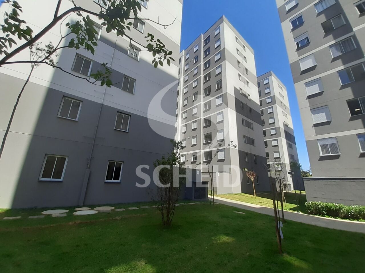 Foto 19