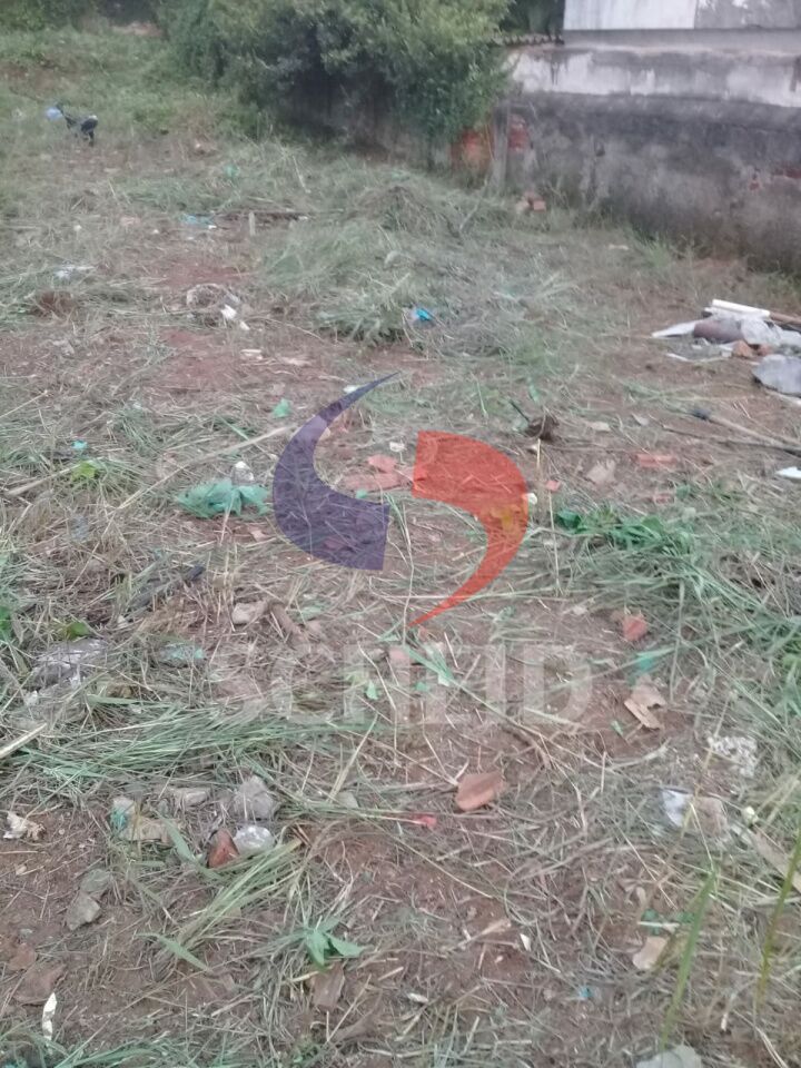 Foto 3