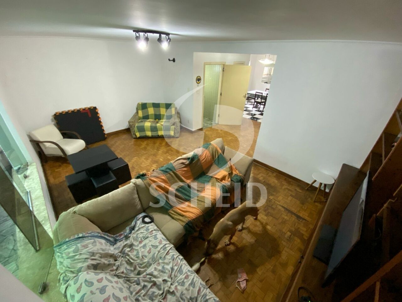Foto 5