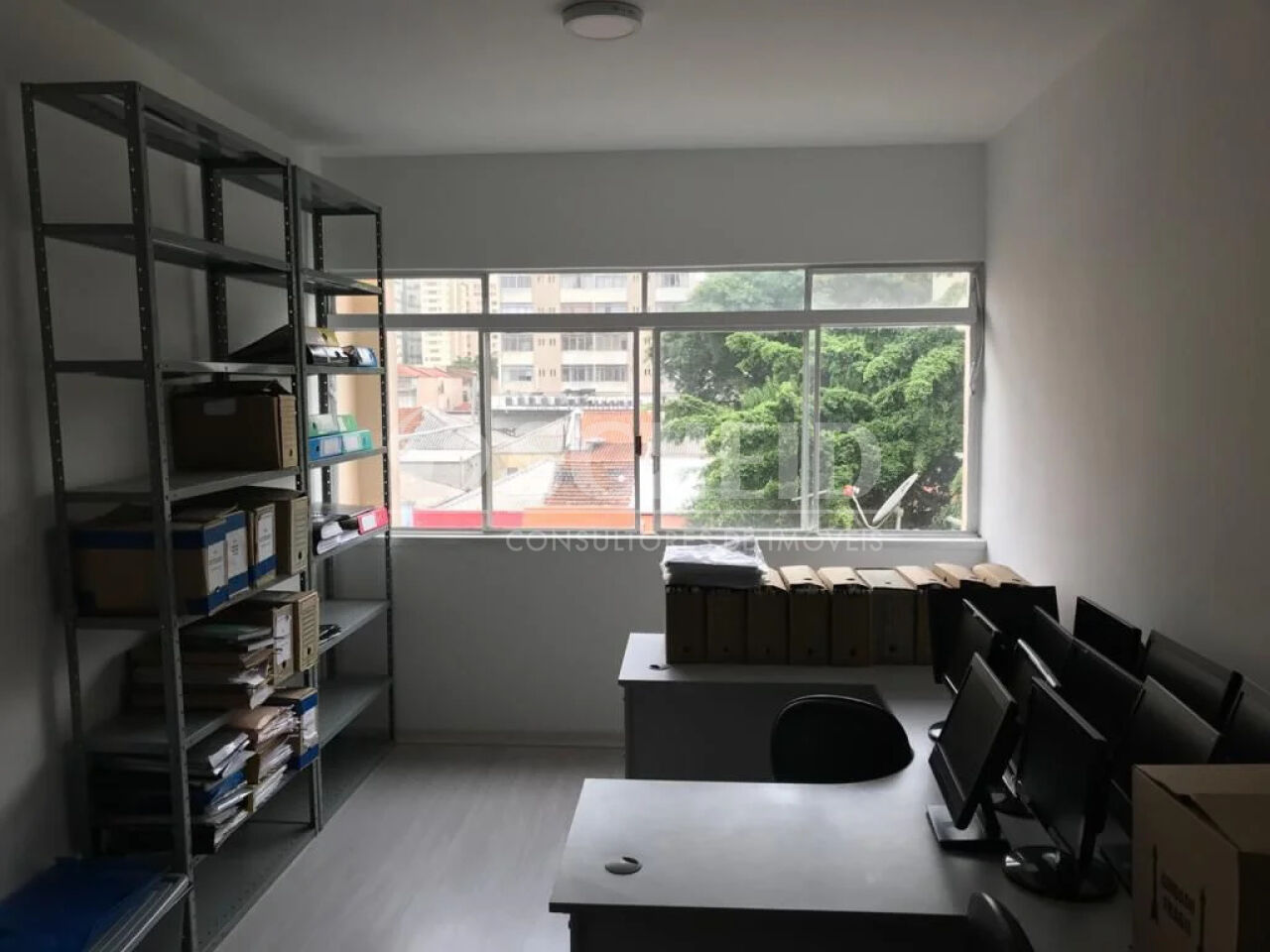 Foto 1