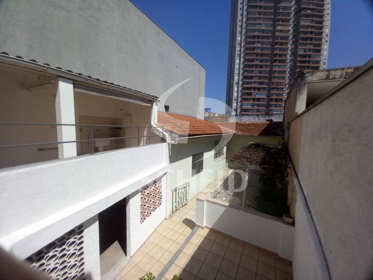 Foto 20