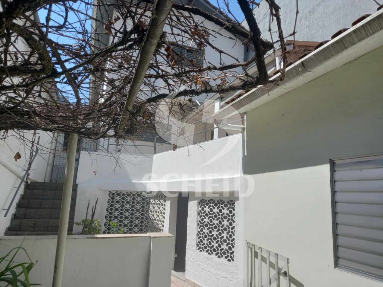 Foto 22