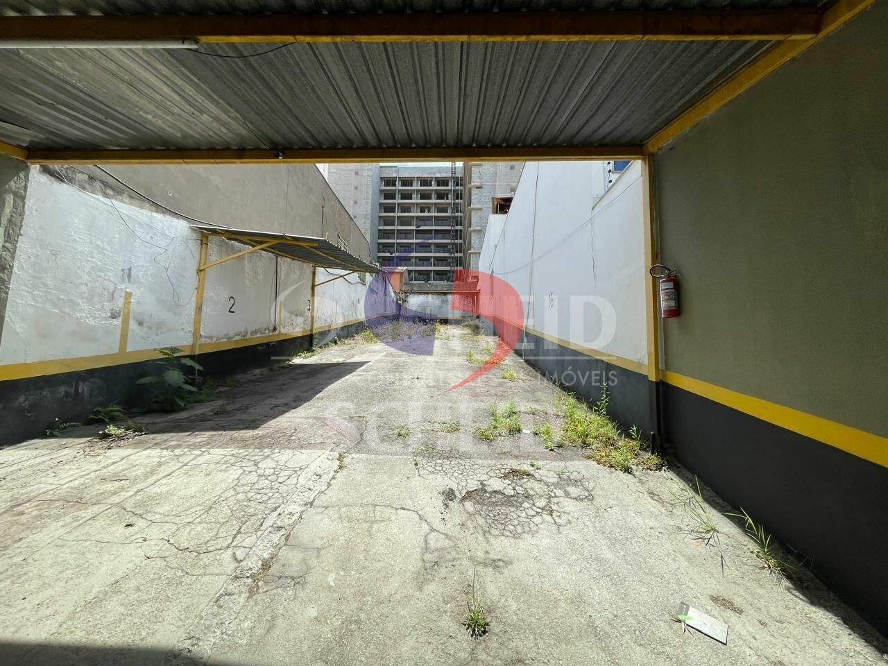Foto 19