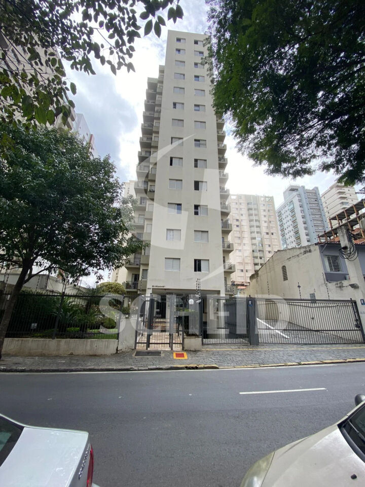 Foto 19
