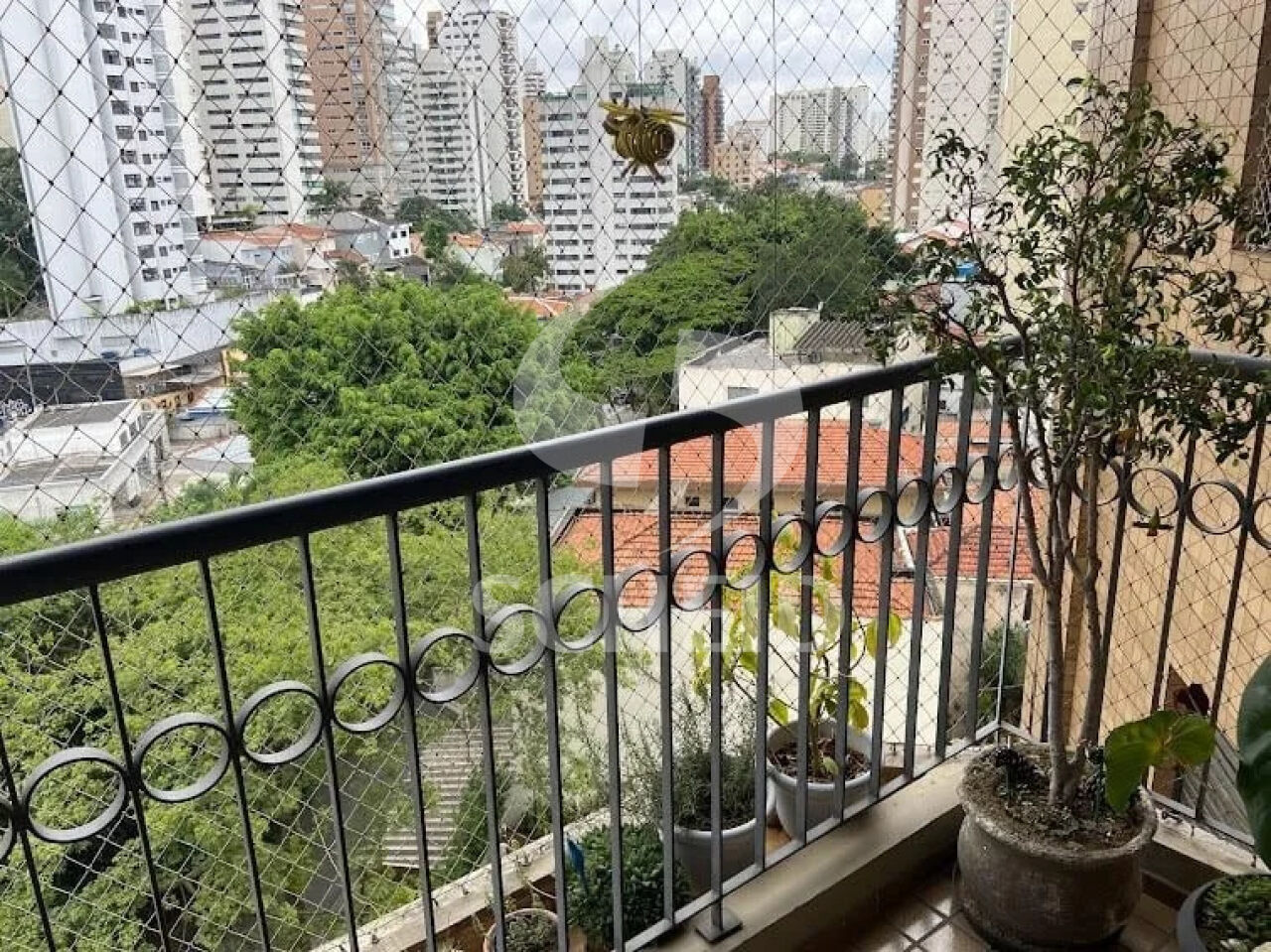 Foto 17