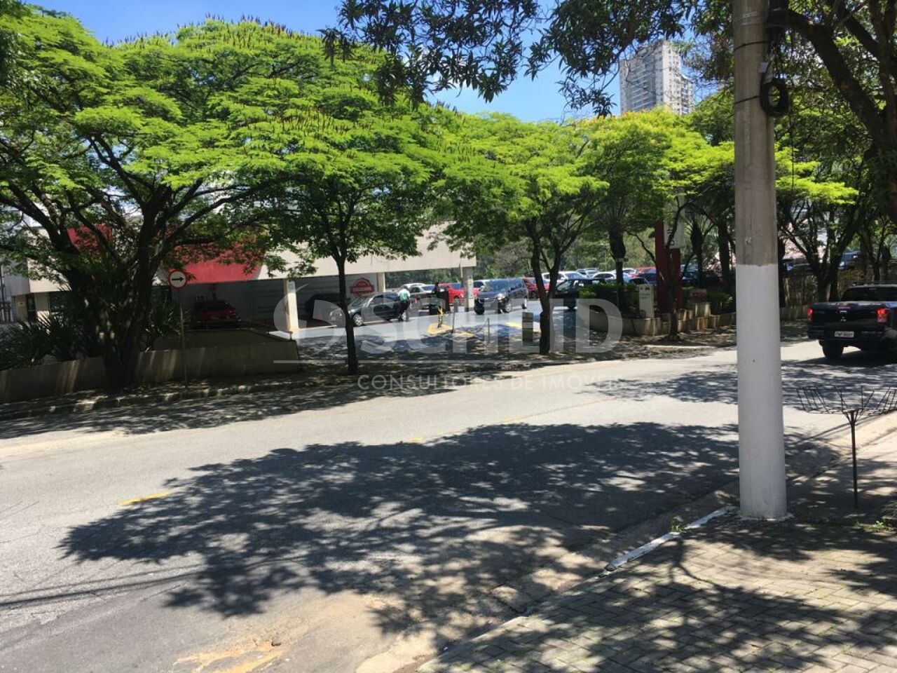 Foto 31