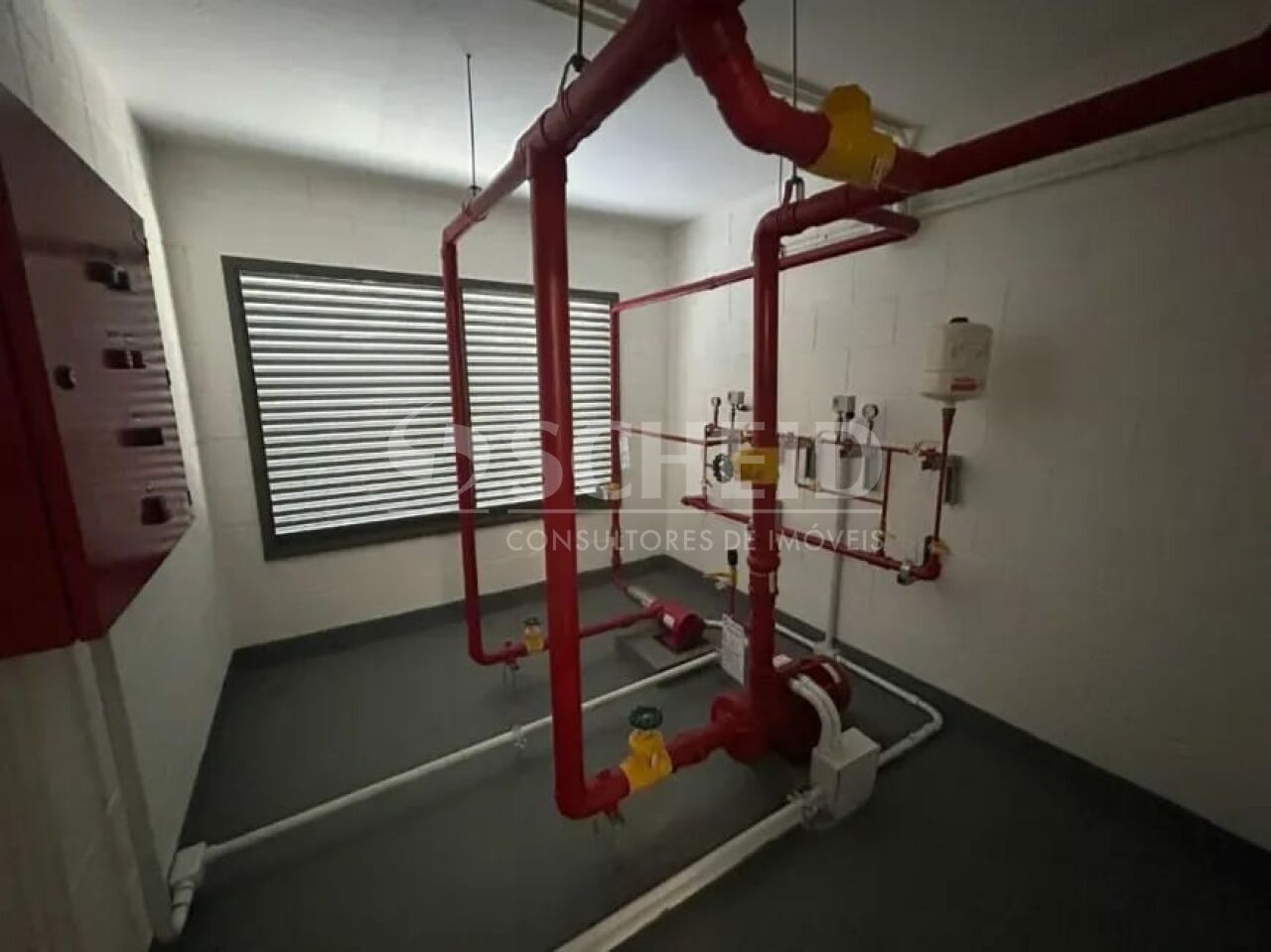 Foto 41