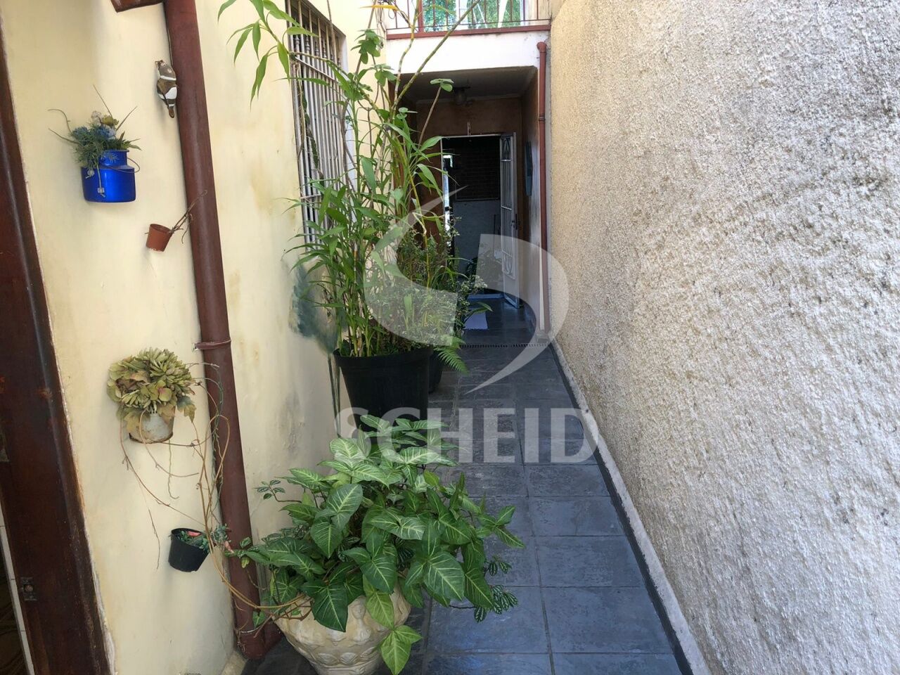 Foto 20