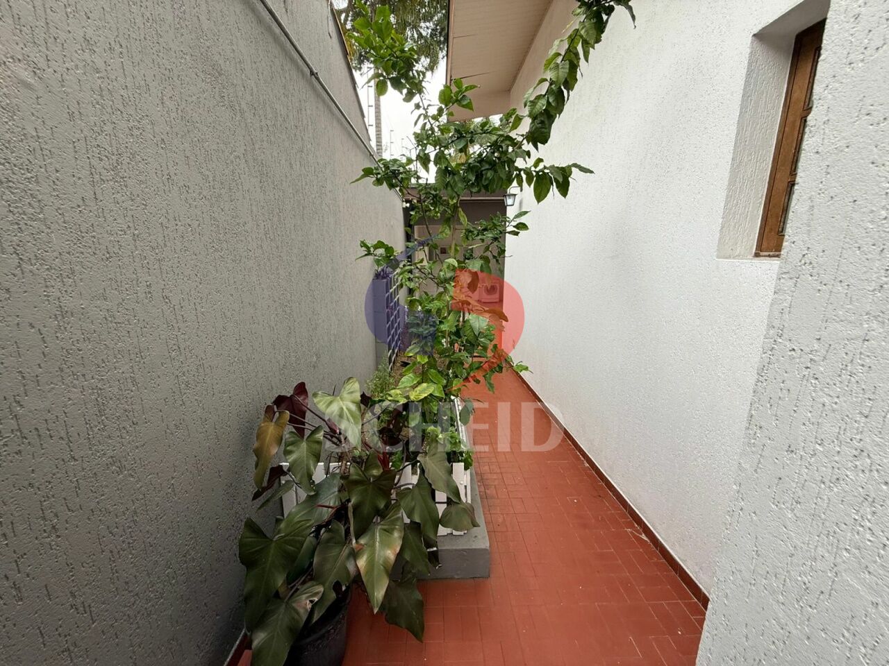 Foto 29