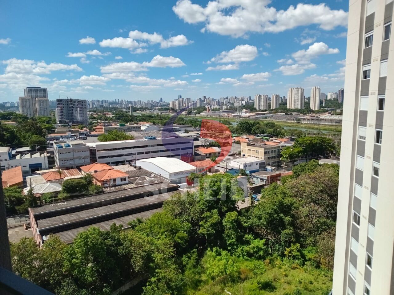 Foto 41