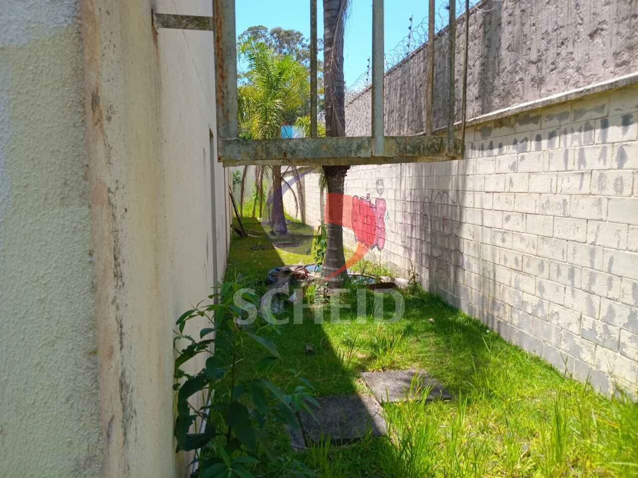 Foto 11