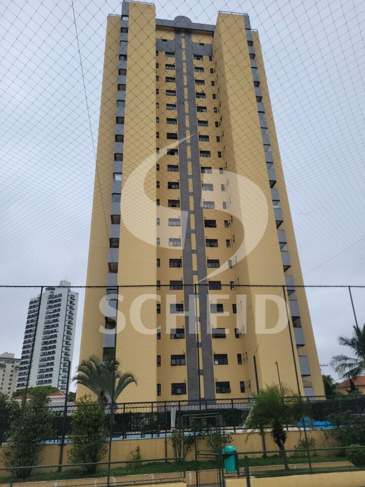 Foto 41