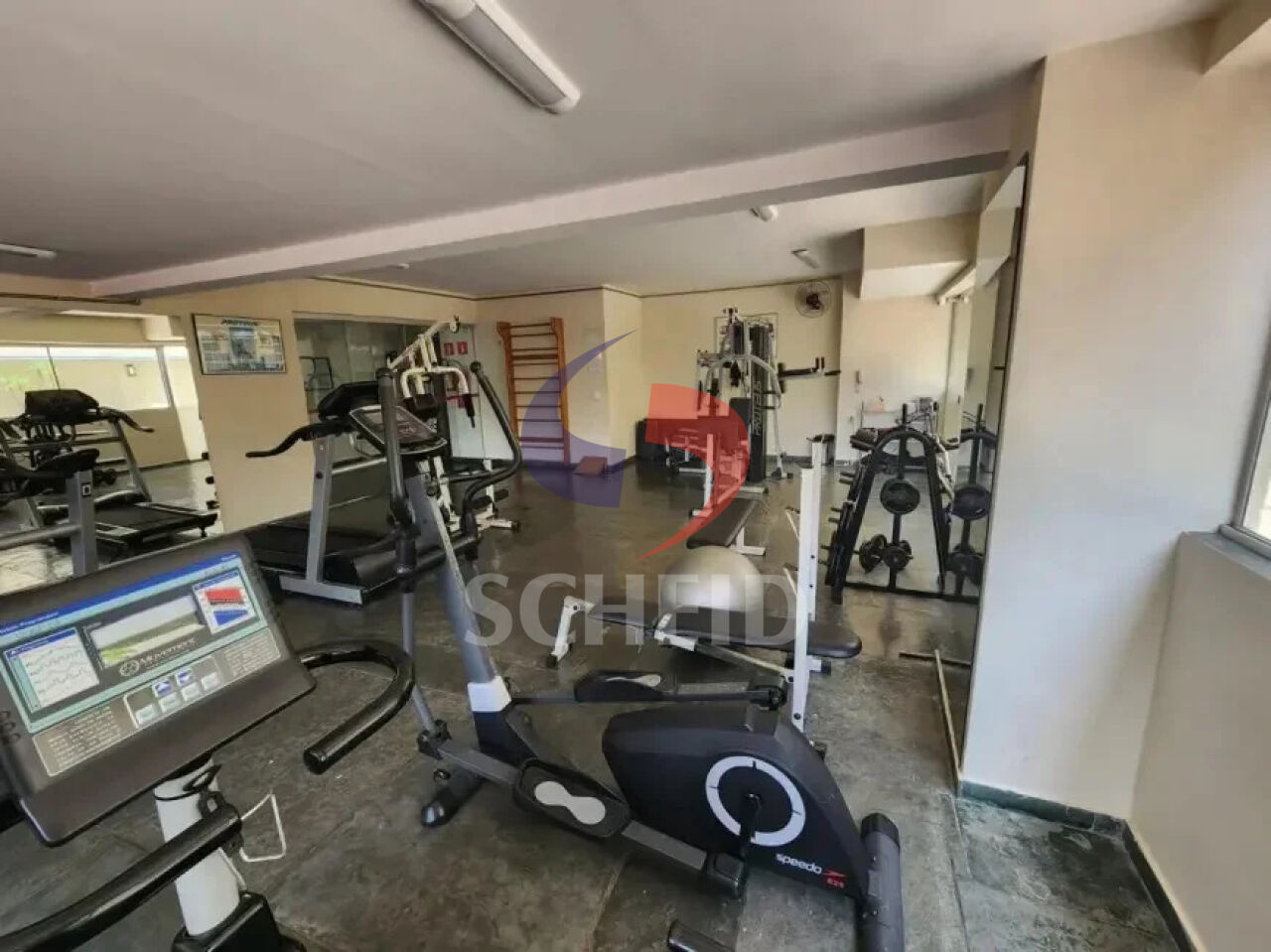 Foto 19