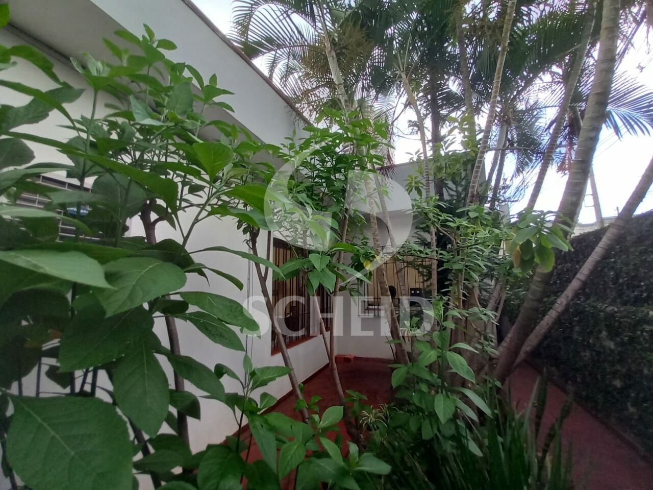 Foto 11