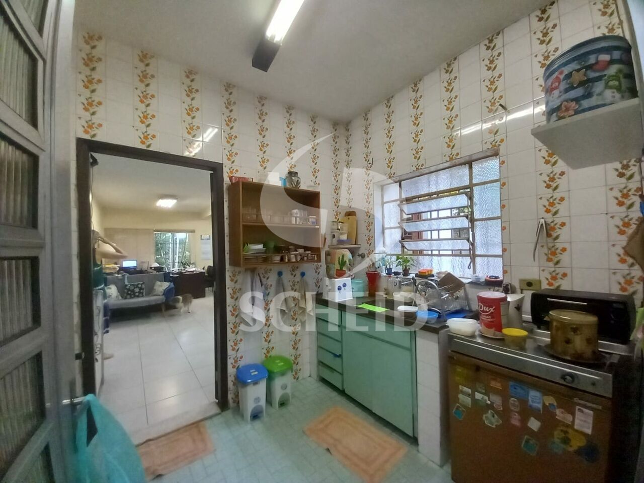Foto 6