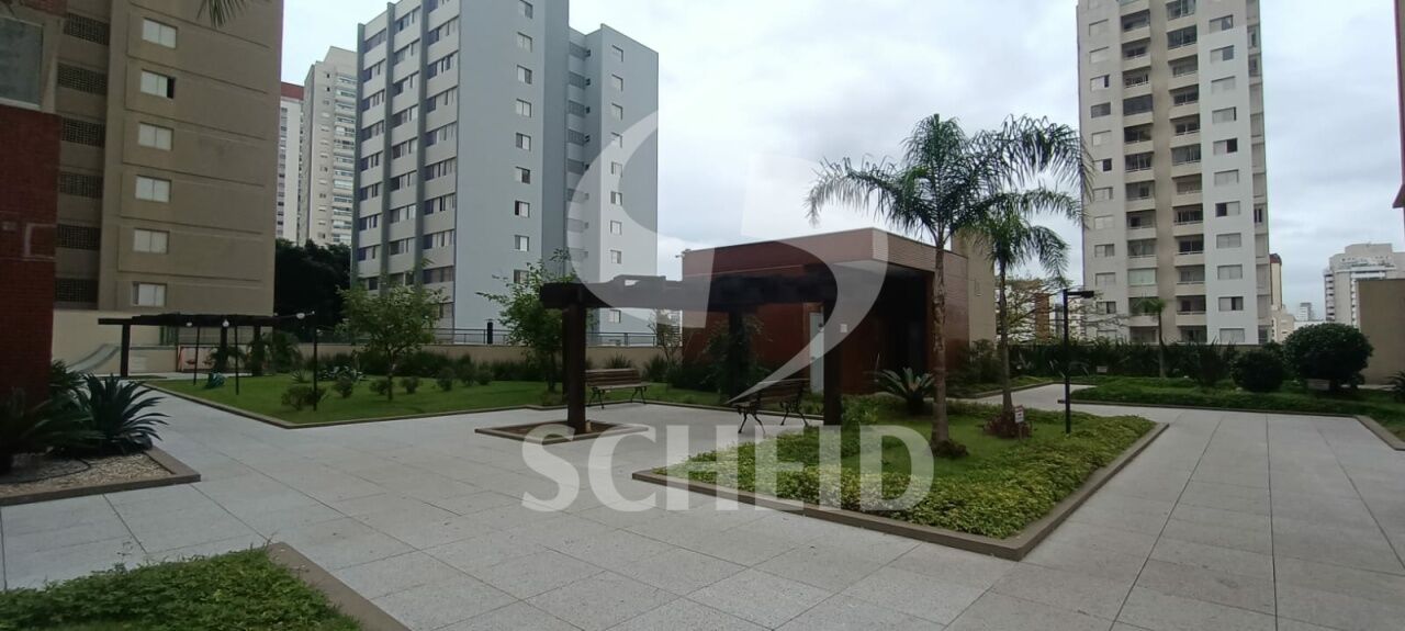 Foto 41