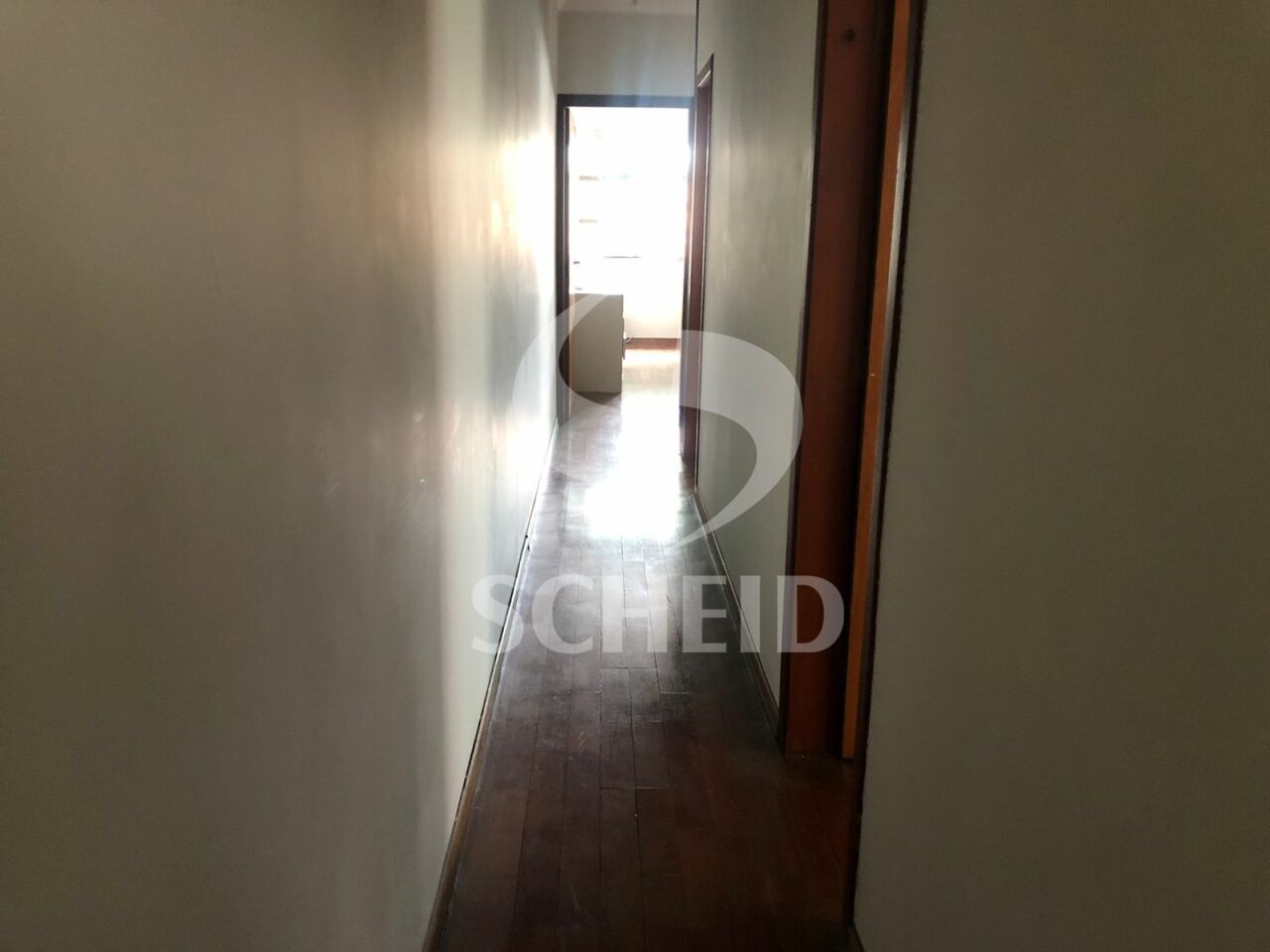 Foto 20