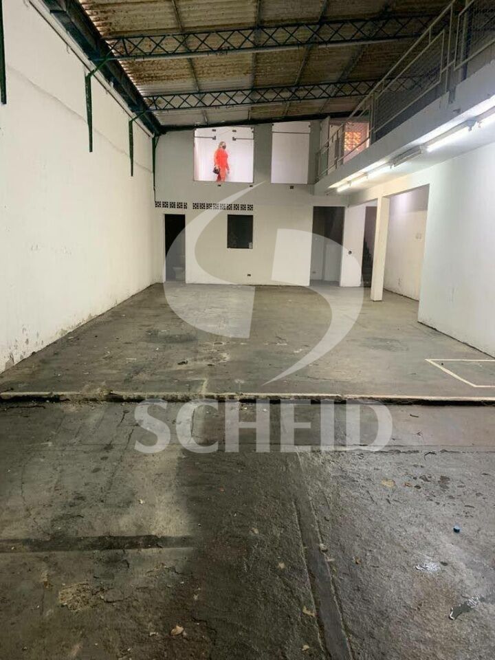 Foto 15