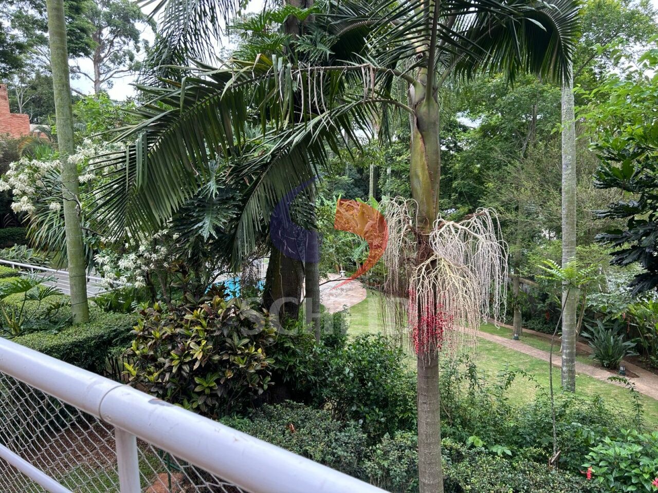 Foto 33