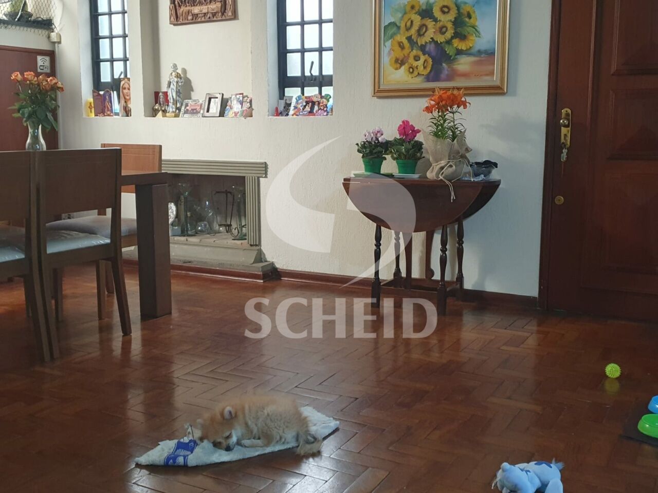 Foto 3