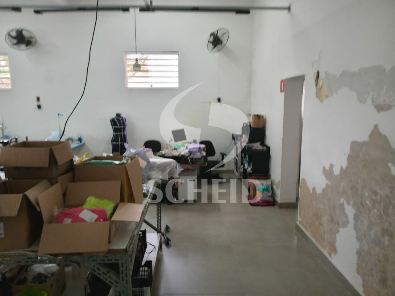 Foto 15