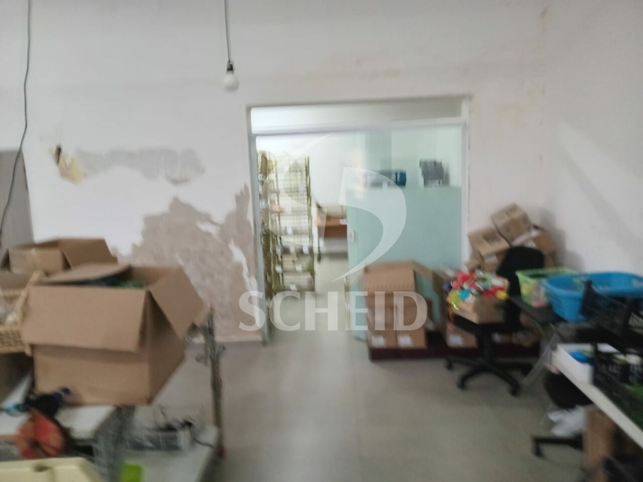 Foto 13