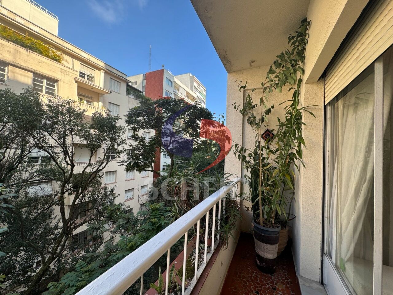 Foto 20