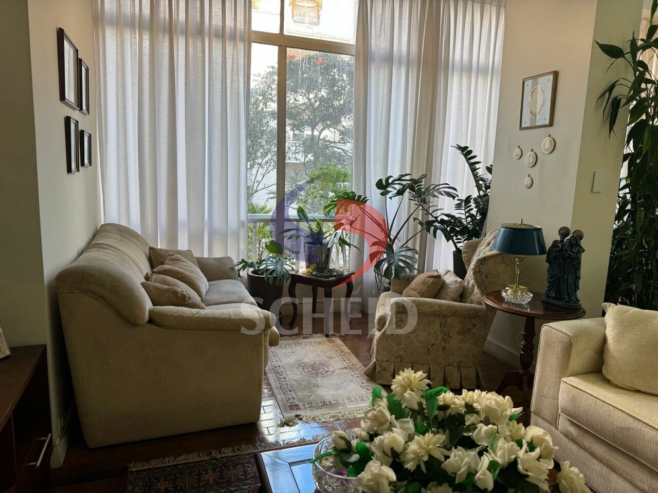 Foto 6