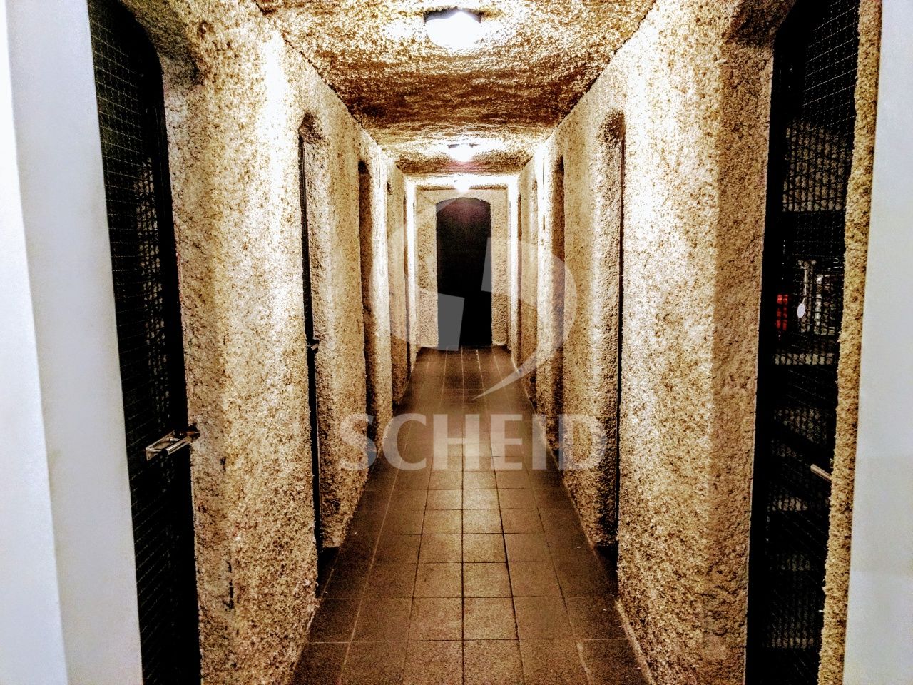 Foto 23