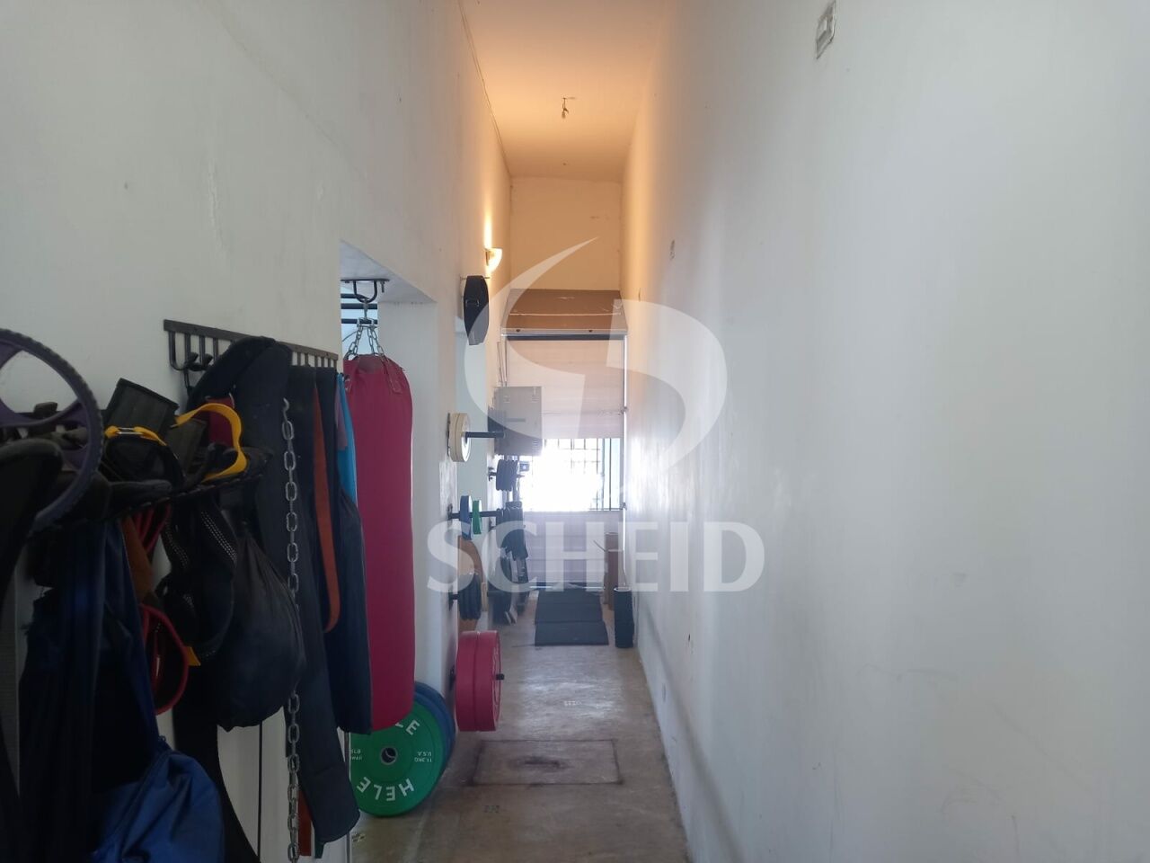 Foto 2