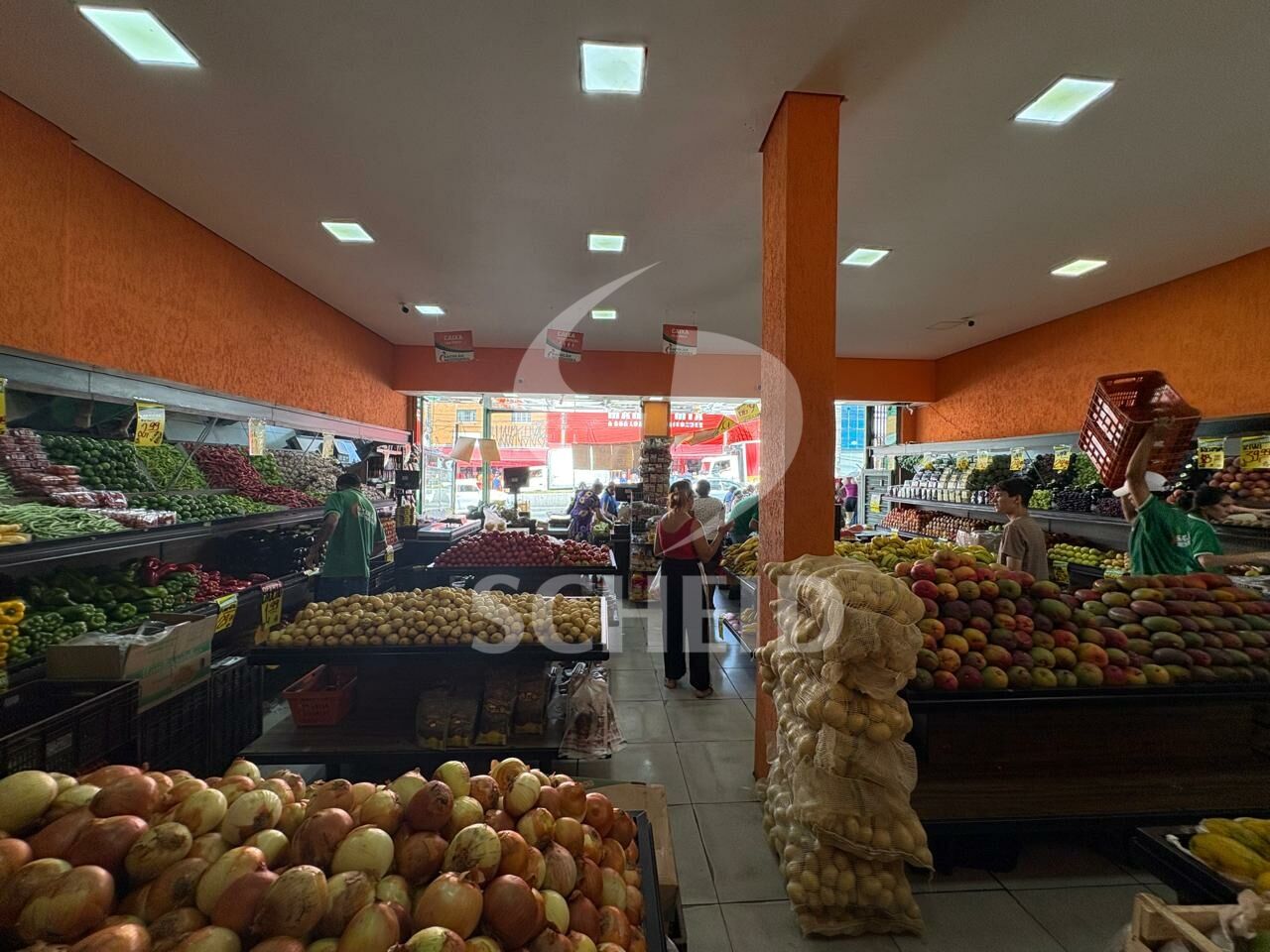 Foto 1