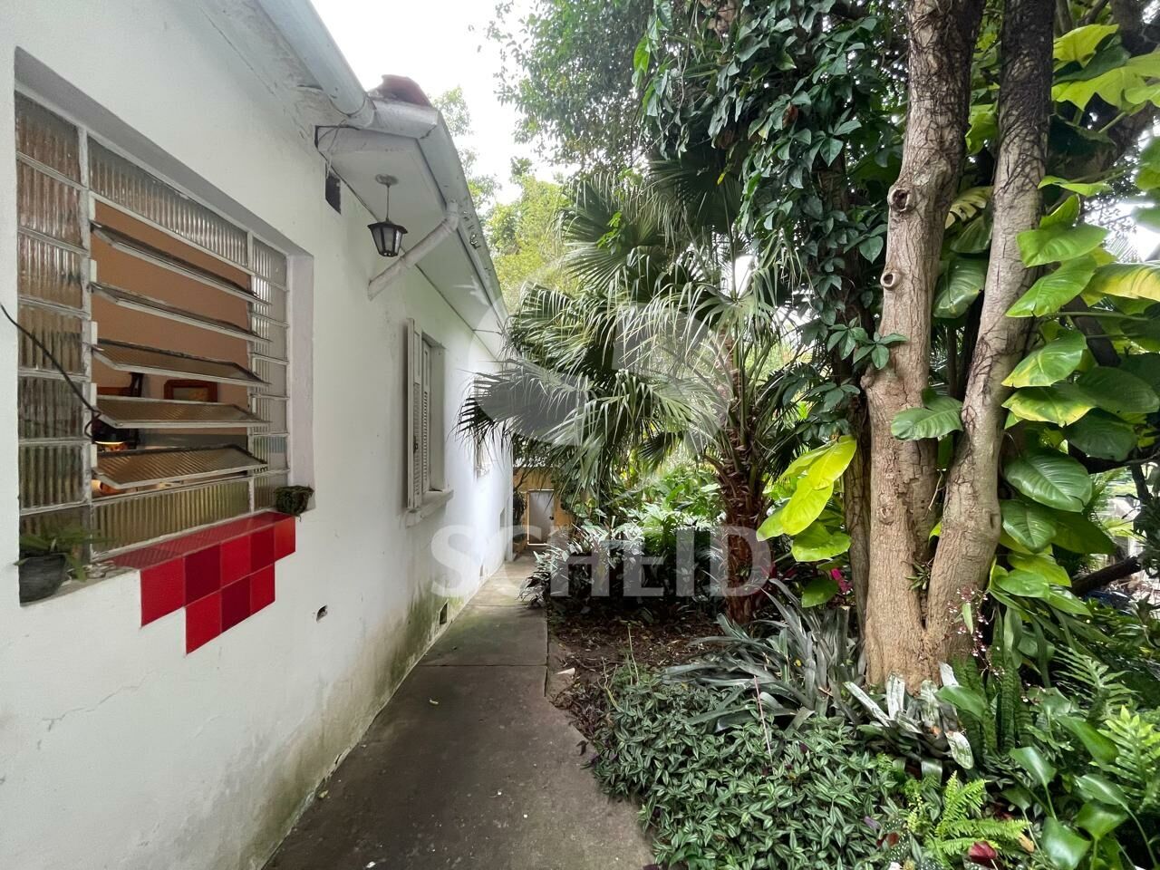 Foto 21