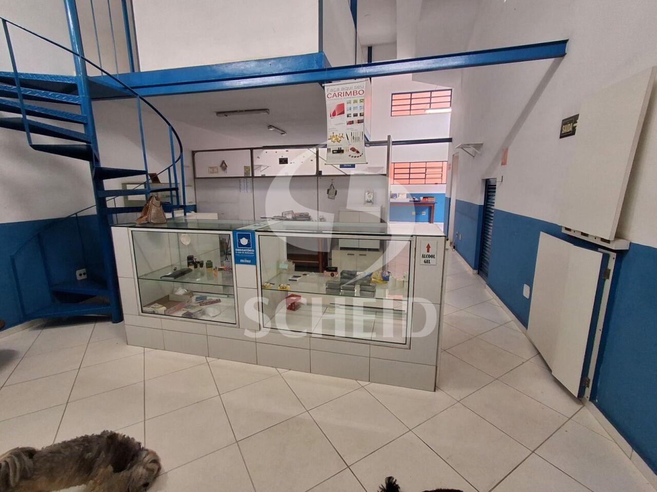 Foto 6
