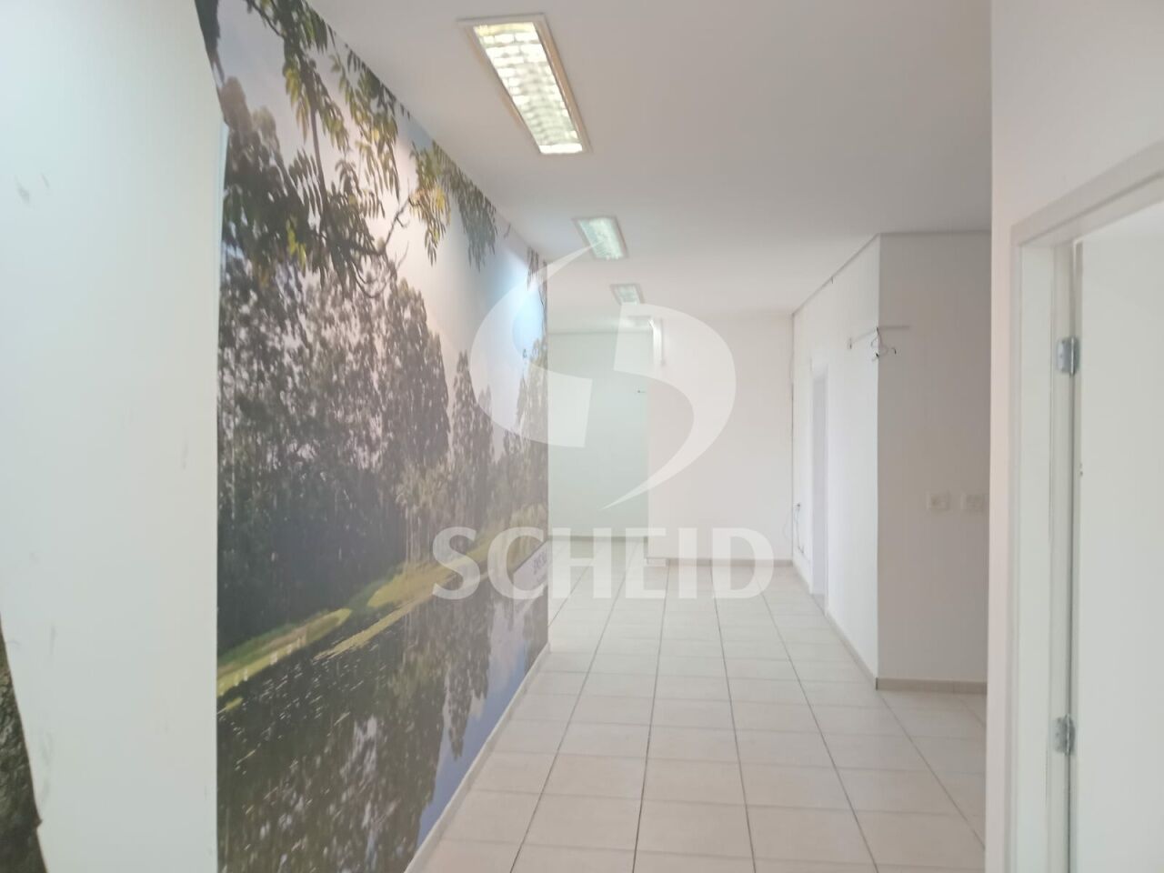 Foto 22