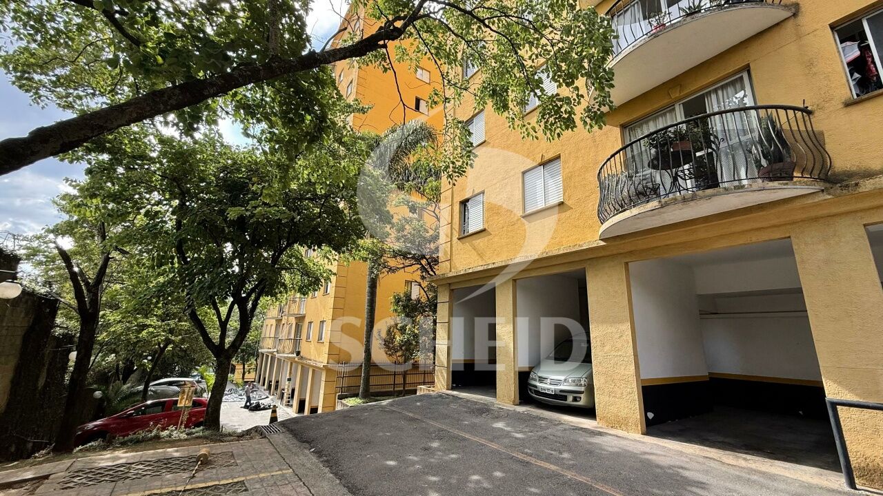 Foto 19