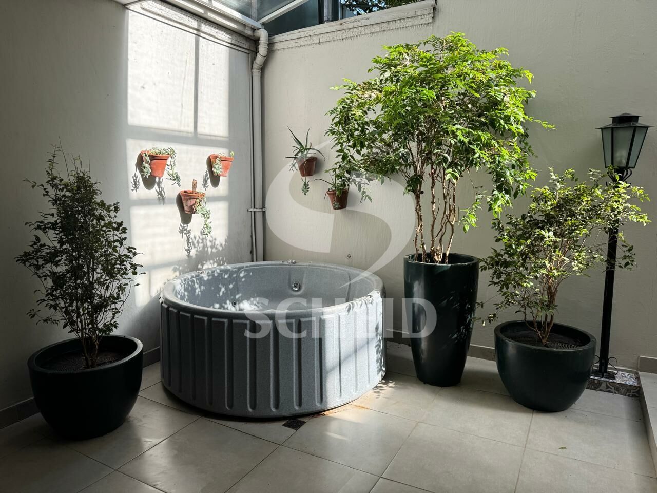 Foto 6