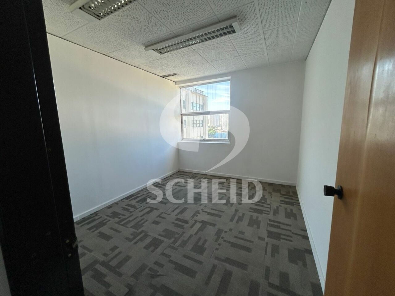 Foto 12