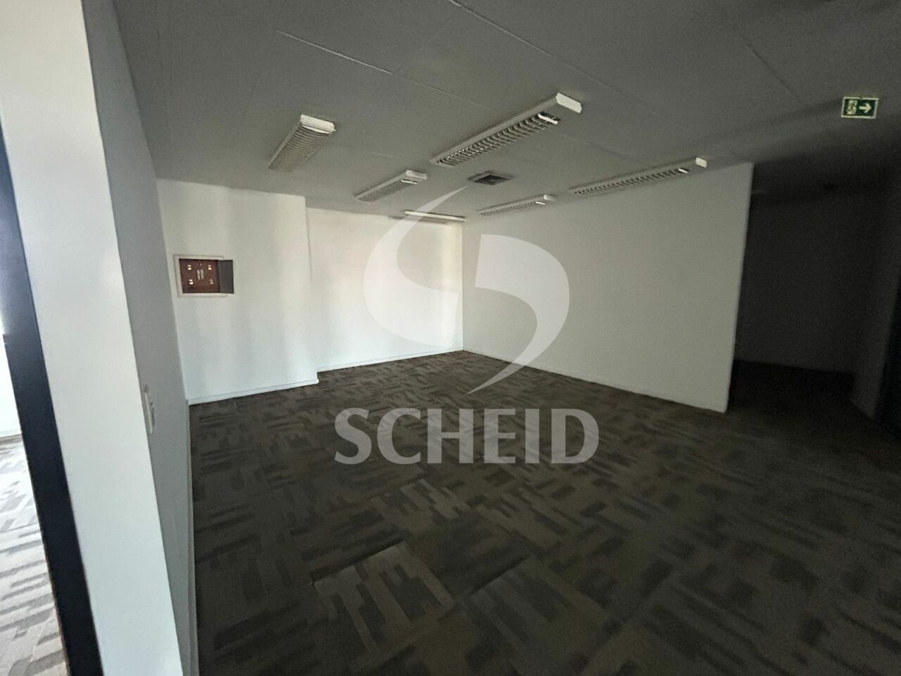 Foto 7