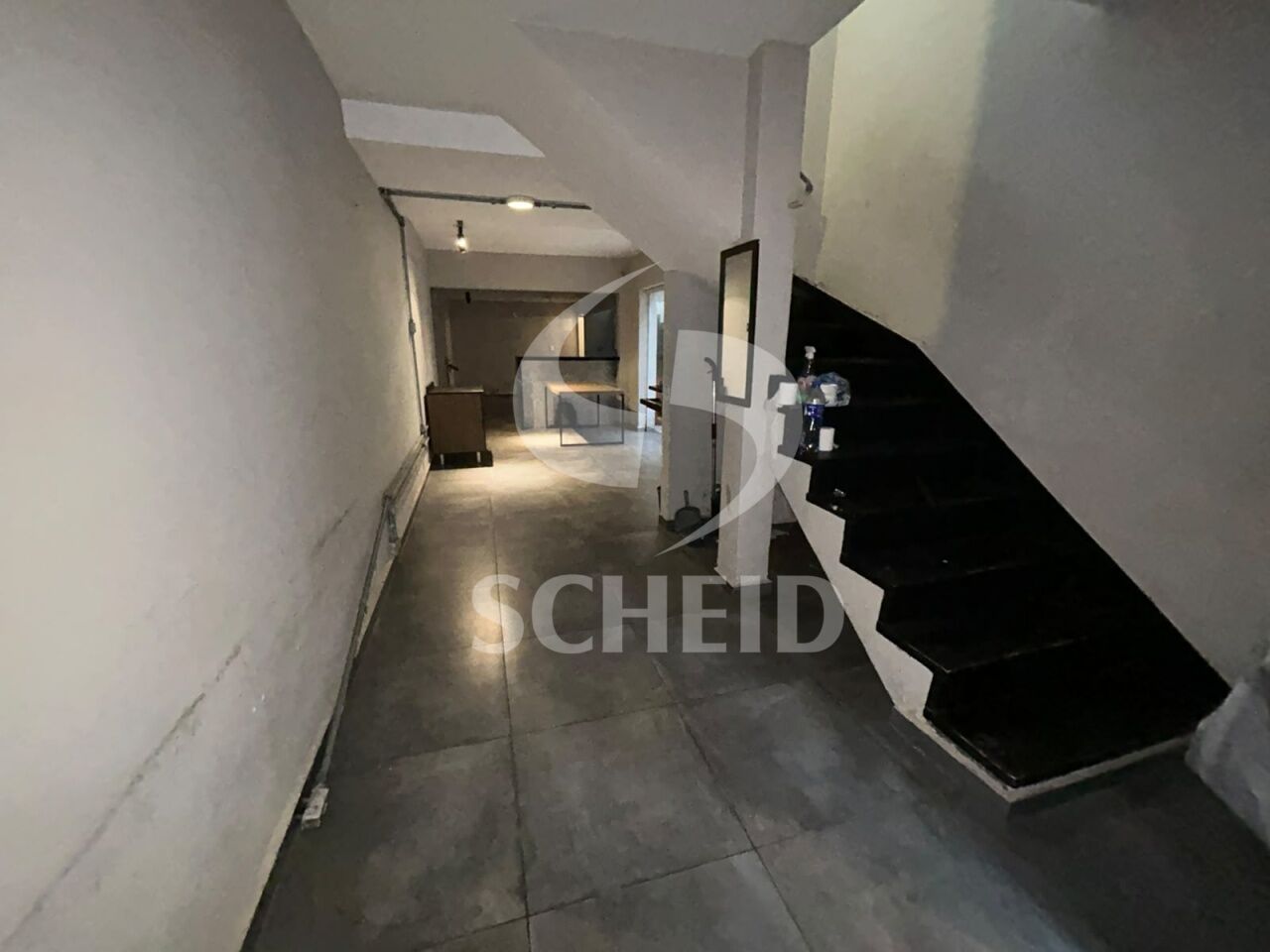 Foto 19