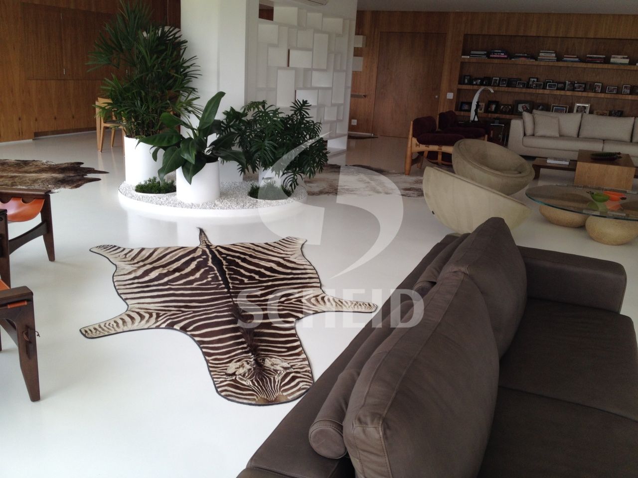 Foto 7