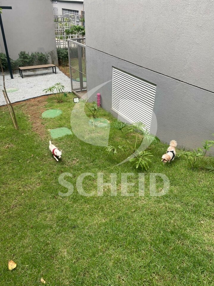 Foto 16