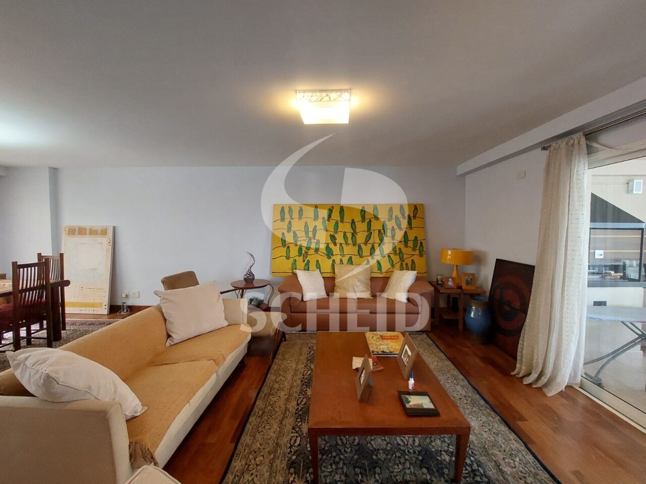 Foto 5