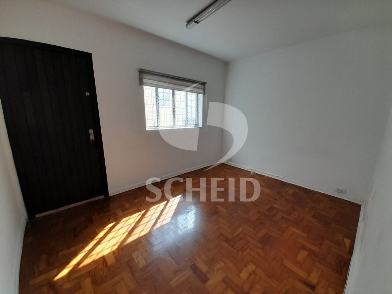 Foto 19