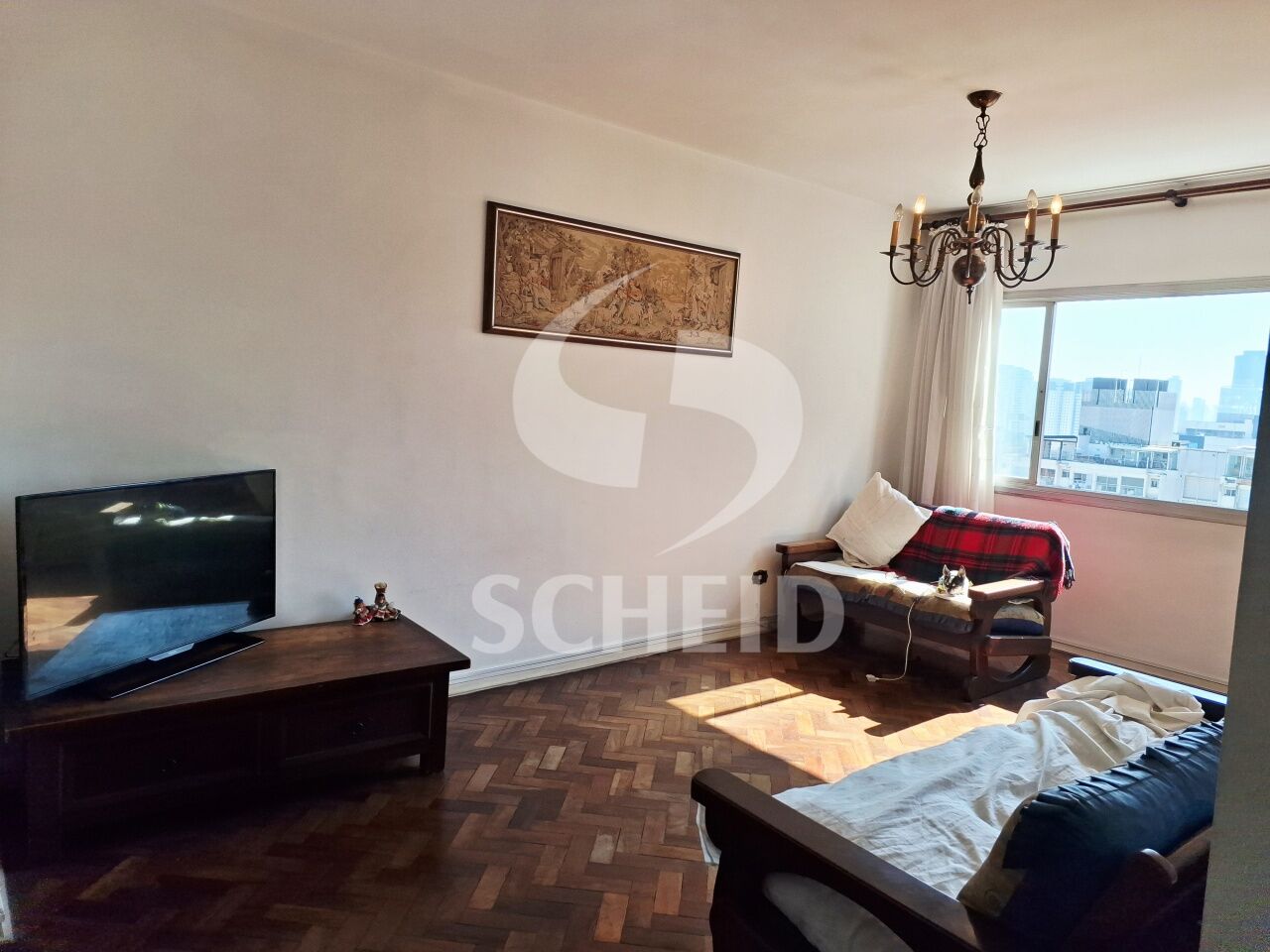 Foto 7